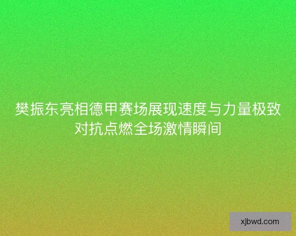 樊振东亮相德甲赛场展现速度与力量极致对抗点燃全场激情瞬间